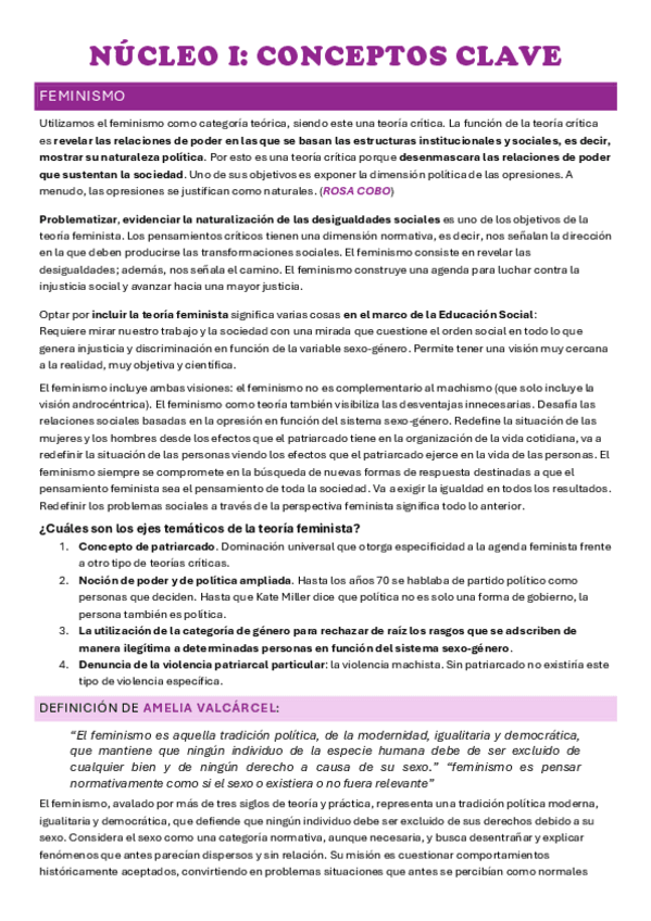 Miniatura del documento Nucleo-I.-Conceptos-clave-feminismo-genero-patriarcado-androcentrismo.pdf