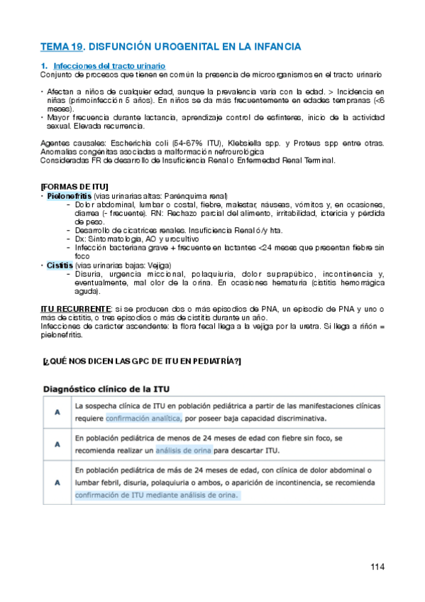 Miniatura del documento TEMA-19.-APUNTES-INFANCIA-Y-ADOLESCENCIA.pdf