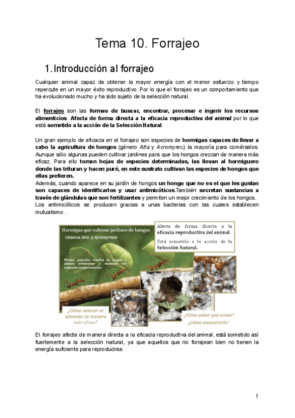 Miniatura del documento Tema-10.pdf