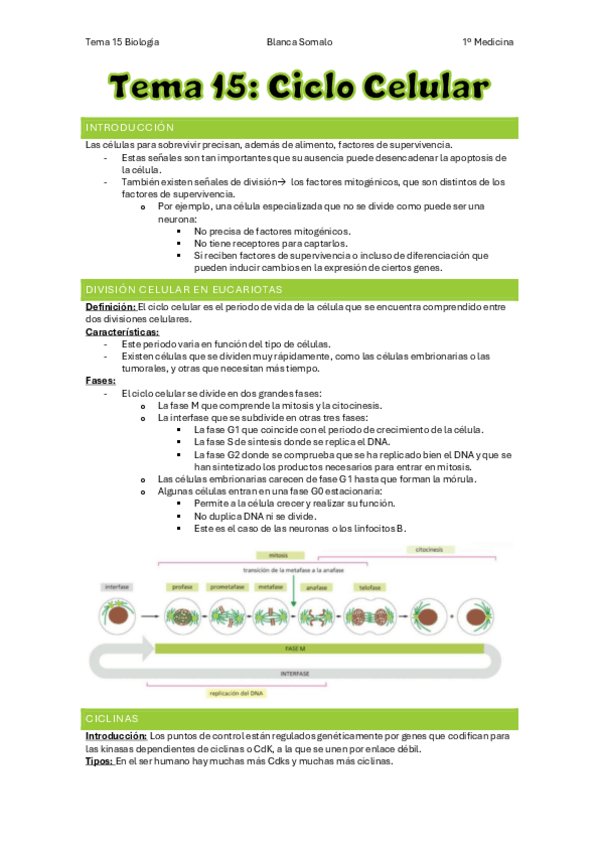 Miniatura del documento Tema-15-Ciclo-CelularBiologiaBlancaSomalo.pdf