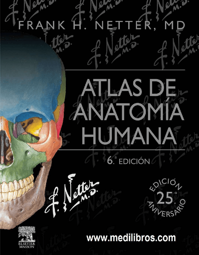 Miniatura del documento Netter-Atlas-De-Anatomia-Humana-6ta-Edicion.pdf