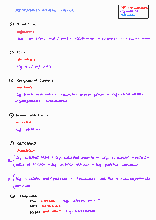 Miniatura del documento Articulaciones.pdf
