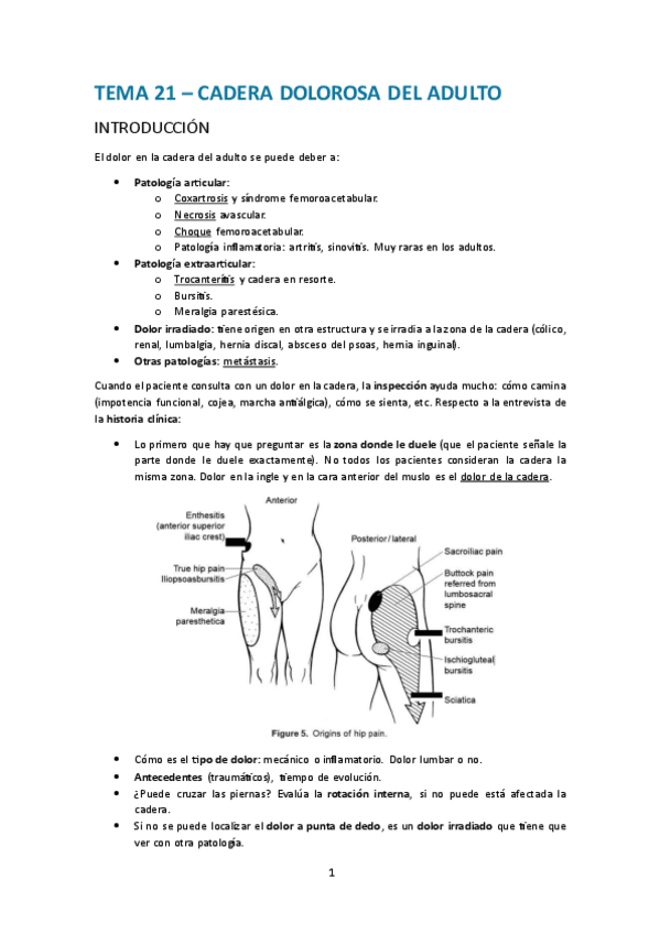 Miniatura del documento Tema-21.-Cadera-dolorosa-del-adulto.pdf