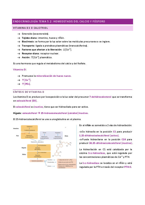 Miniatura del documento ENDOCRINOLOGIA-TEMA-5.2.pdf