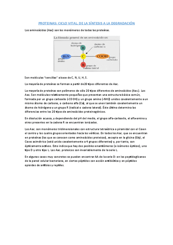 Miniatura del documento PROTEINAS.pdf