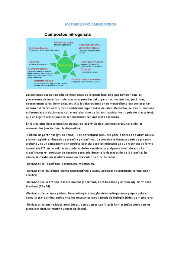 Miniatura del documento METABOLISMO-AMINOACIDOS.pdf