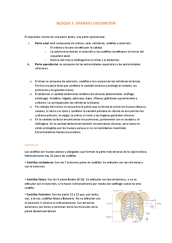 Miniatura del documento BLOQUE-3.-APARATO-LOCOMOTOR.pdf