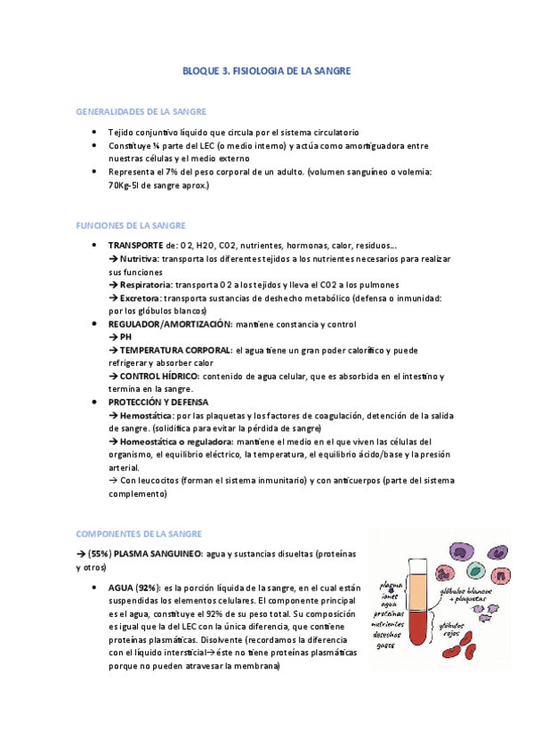 Miniatura del documento BLOQUE-3.-FISIOLOGIA-DE-LA-SANGRE.pdf