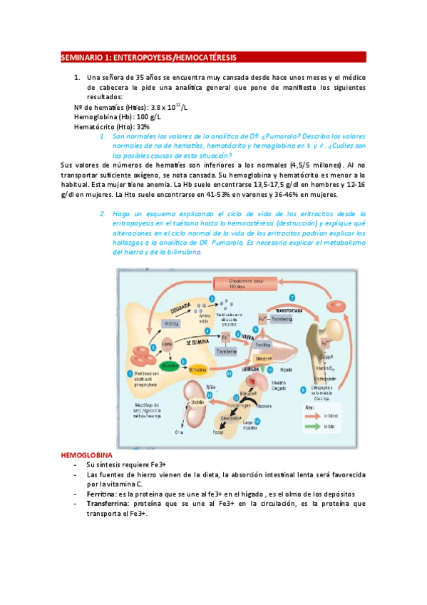 Miniatura del documento Seminario-grupos-sanguineos.pdf