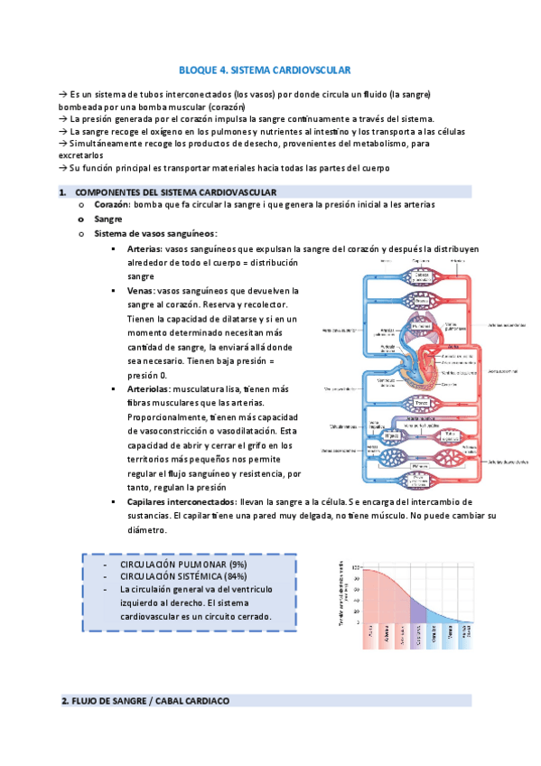 Miniatura del documento BLOQUE-4.-SISTEMA-CARDIOVASCULAR.pdf