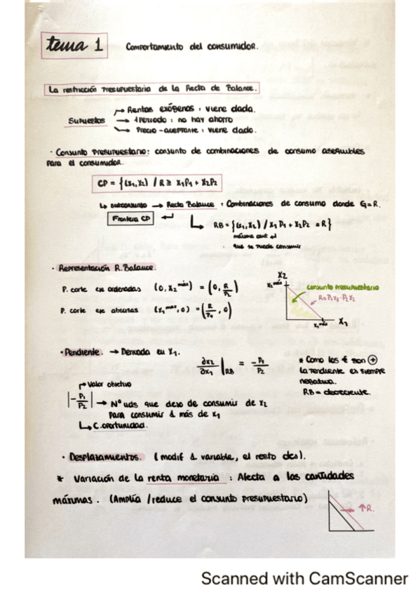 Miniatura del documento Tema-1.pdf