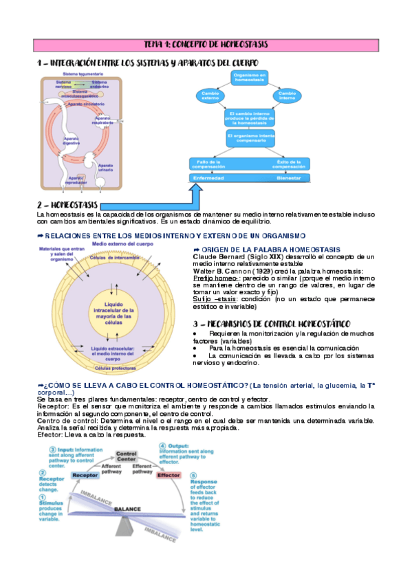 Miniatura del documento apuntes-fisio-23-24-parte-mercedes-unificados.pdf