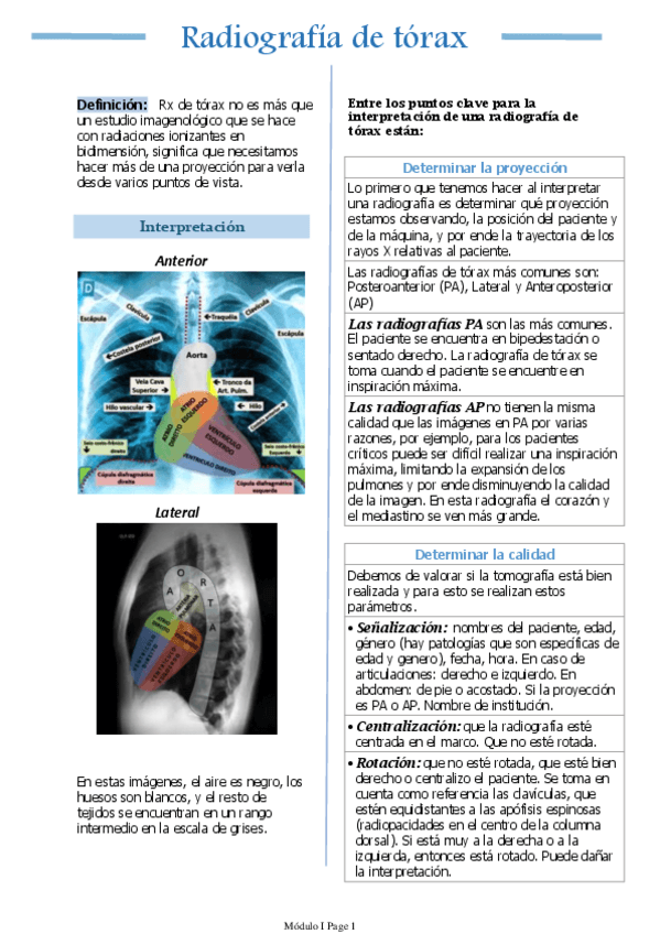 Miniatura del documento Radiografia-de-torax.pdf