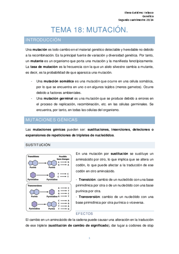 Miniatura del documento tema-18-mutacion.pdf