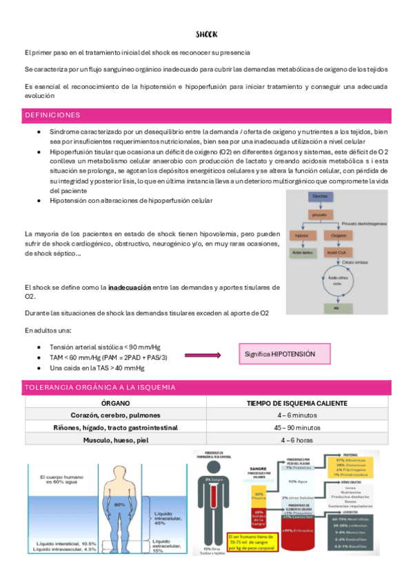 Miniatura del documento SHOCK.pdf