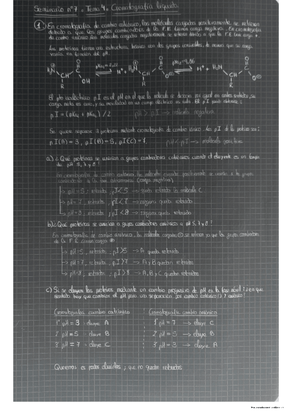 Miniatura del documento Seminario-7.pdf