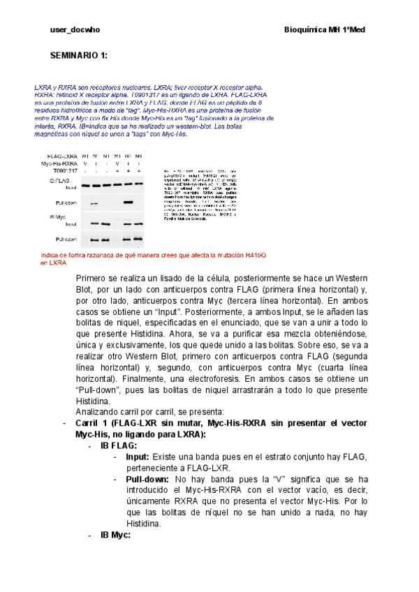 Miniatura del documento SEMINARIO-1-SEGUNDO-PARCIAL.pdf