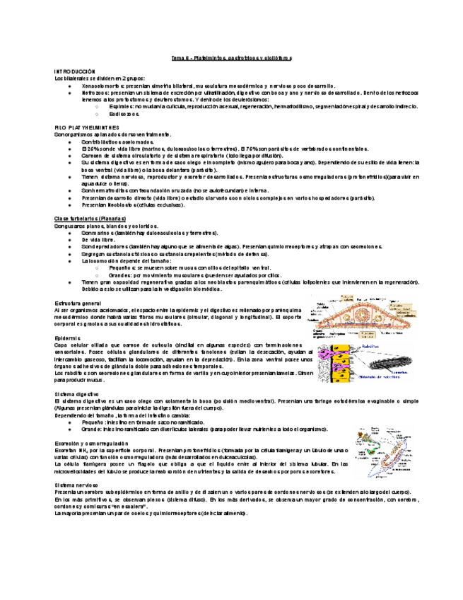 Miniatura del documento Tema-6-Platelmintos-gastrotricos-y-ciclioforos.pdf