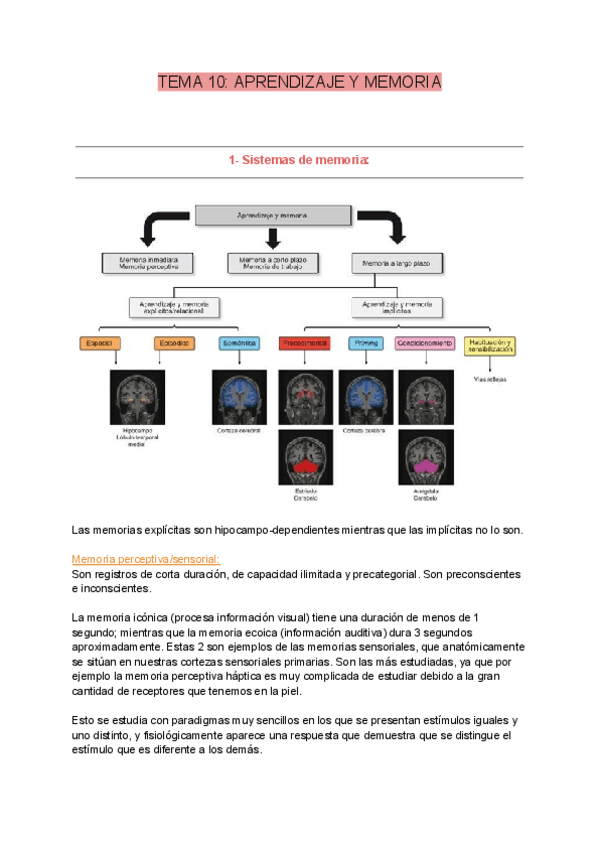 Miniatura del documento Tema-10.pdf