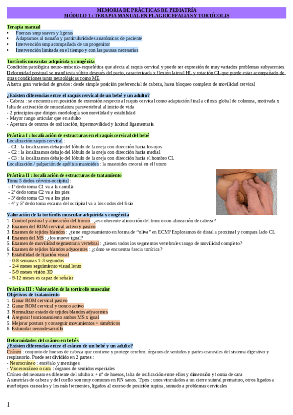 Miniatura del documento MEMORIA-DE-PRACTICAS.pdf