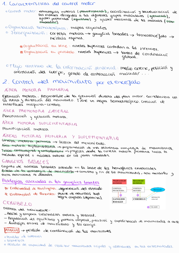 Miniatura del documento Tema-9-Sistema-nervioso-motor-control-del-movimiento.pdf