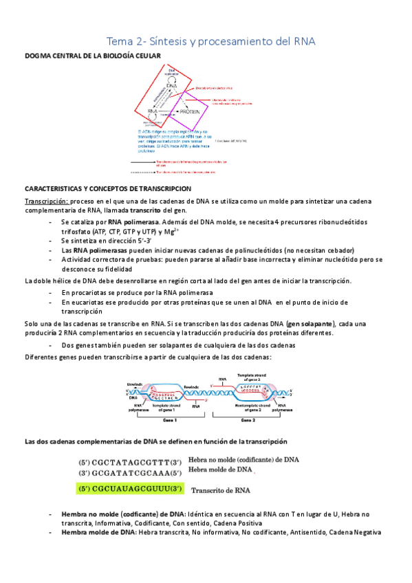 Miniatura del documento Tema-2-Transcrpcion.pdf