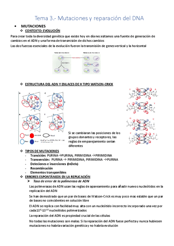 Miniatura del documento Tema-3-Mutaciones-y-Reparacion-del-ADN.pdf