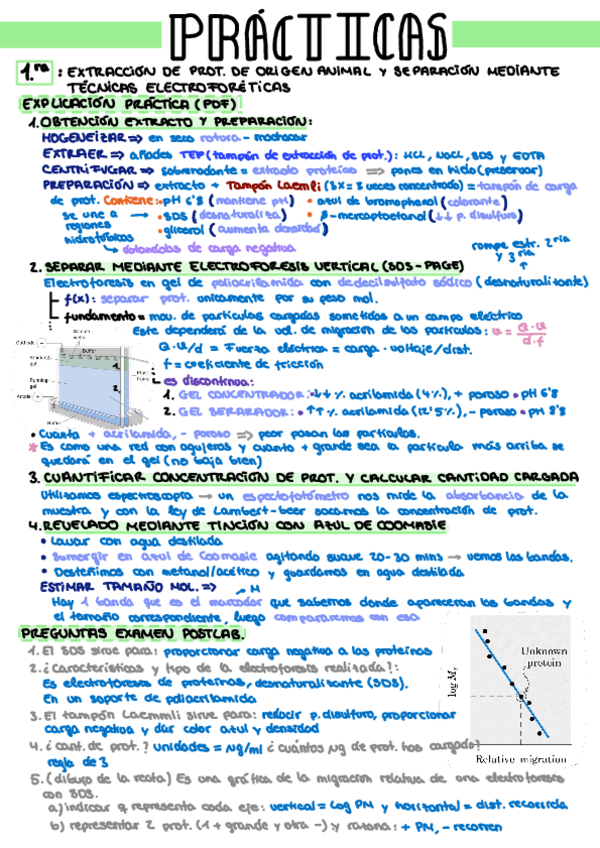Miniatura del documento BBM-Resumen-para-examen-Practicas-A4.pdf
