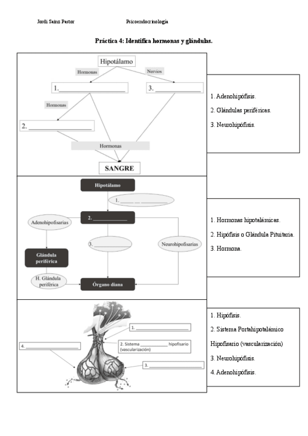 Miniatura del documento Practica-2-cuadernillo-4.pdf