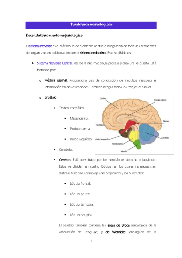 Miniatura del documento Tema-10.-Trastornos-neurologicos.pdf
