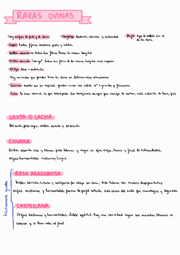 Miniatura del documento Razas-ovinas.pdf