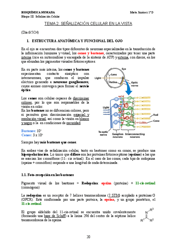 Miniatura del documento Bloque-3-Tema-2.pdf