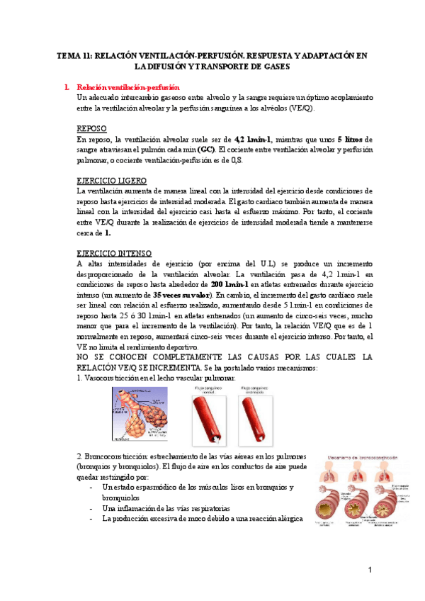 Miniatura del documento TEMA-11-RELACION-VENTILACION-PERFUSION.pdf