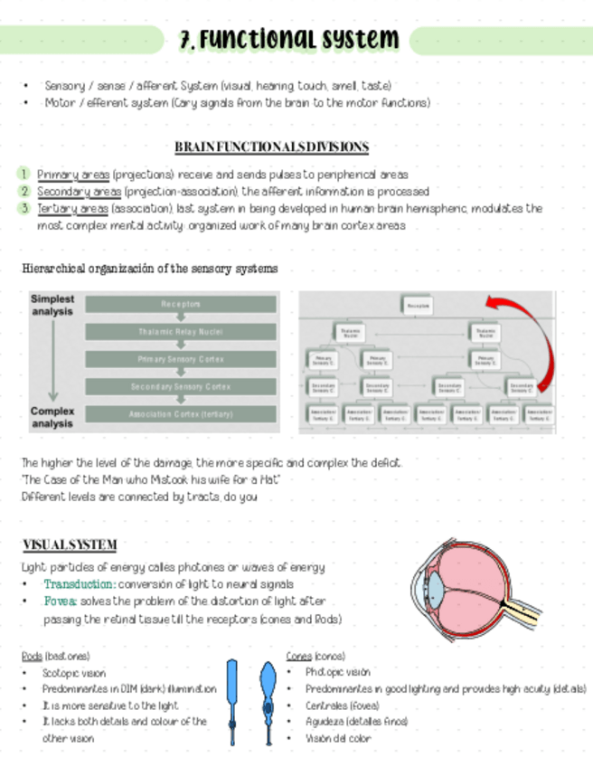 Miniatura del documento Tema-7.pdf