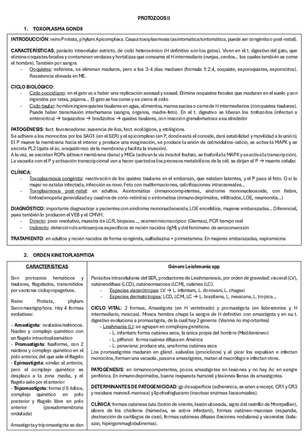 Miniatura del documento PROTOZOOS-II.pdf