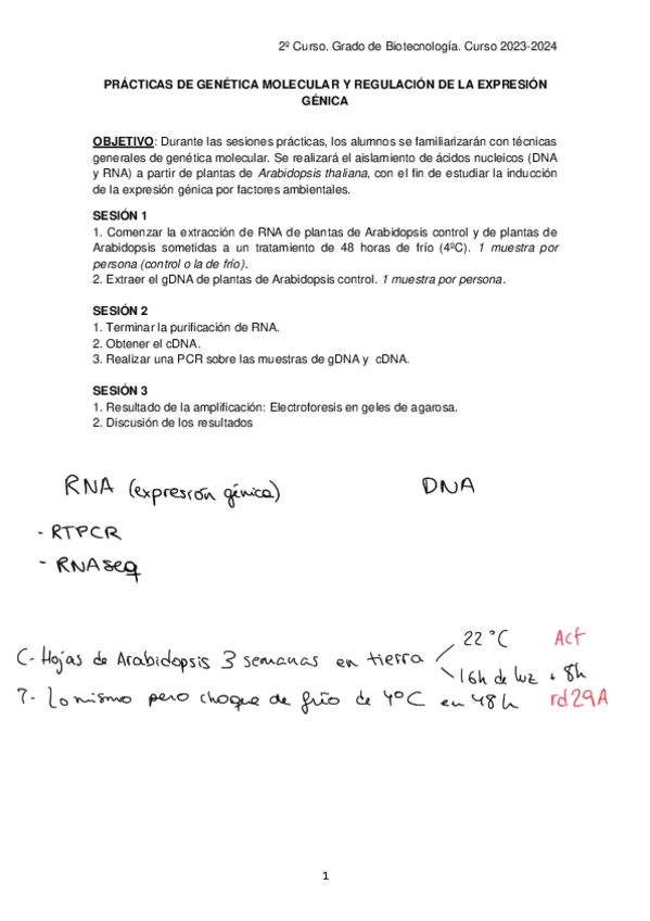Miniatura del documento Guion-con-anotaciones.pdf