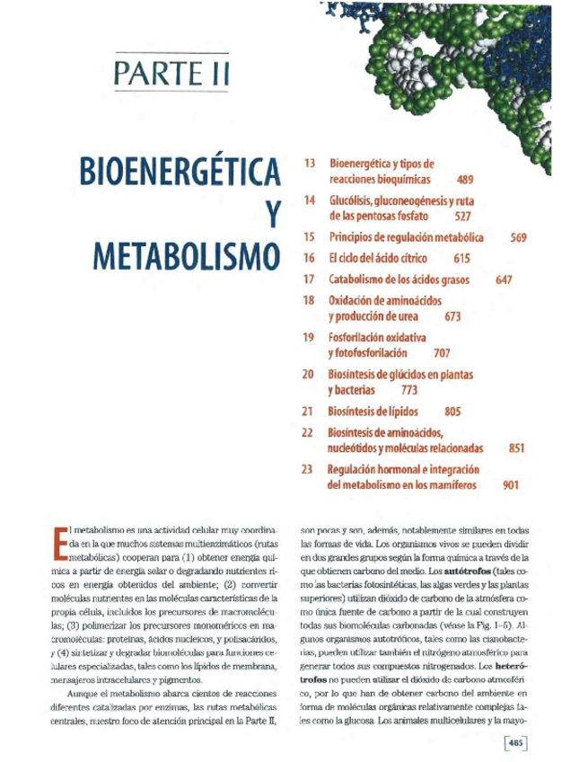 Miniatura del documento Bioenergetica-Lehninger-capitulo-13-5ta-edicion.pdf