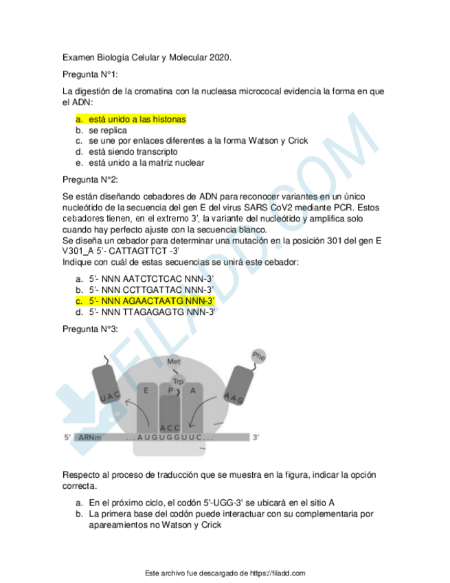 Miniatura del documento Examen-Biologia-Celular-y-Molecular.pdf