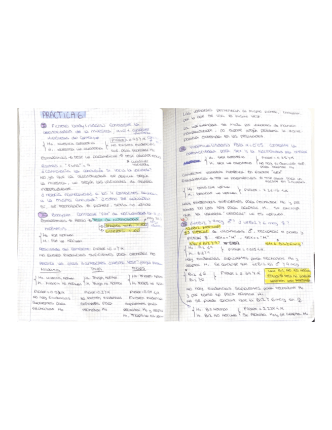 Miniatura del documento PRACTICA-6.pdf