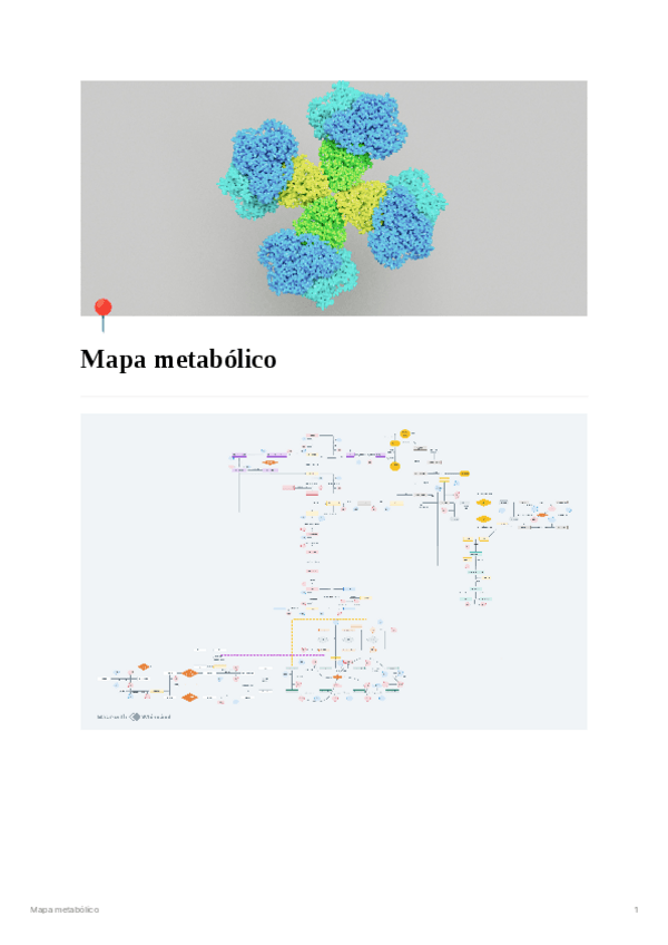 Miniatura del documento Mapa-metabolico.pdf