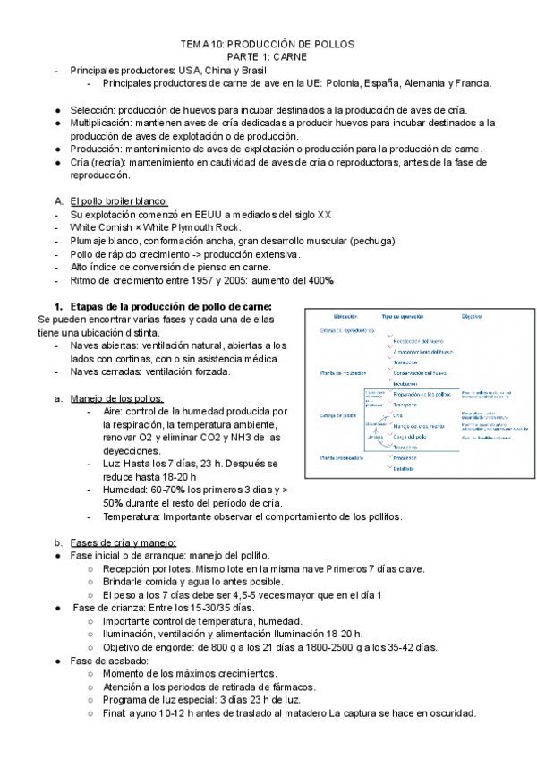 Miniatura del documento TEMA-10.pdf