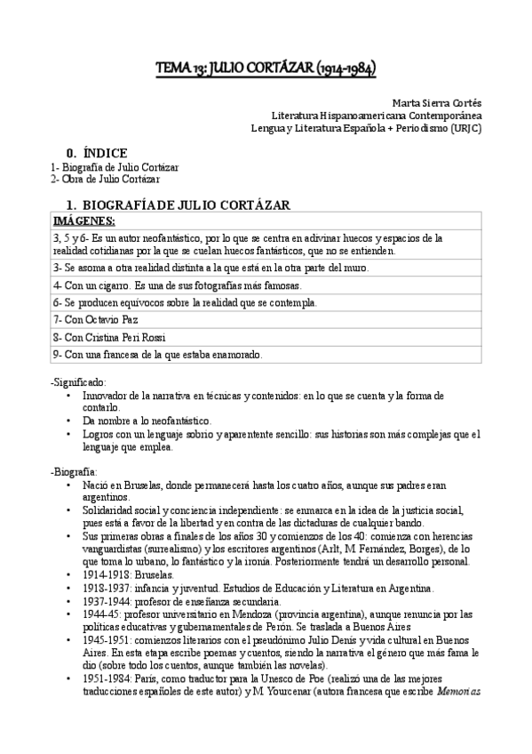 Miniatura del documento Tema-13-Literatura-Hispanoamericana-Contemporanea.pdf