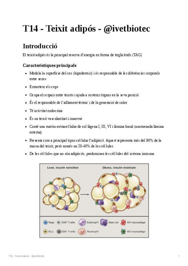 Miniatura del documento T14-Teixit-adipos.pdf