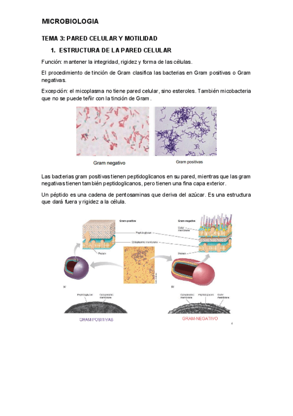 Miniatura del documento tema-3-micro.pdf