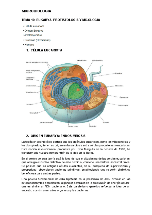 Miniatura del documento tema-10-micro.pdf