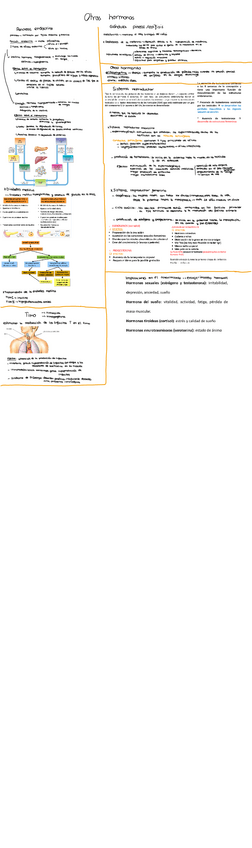 Miniatura del documento Tema-8.-Otras-hormonas.pdf