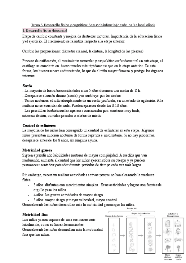 Miniatura del documento Bloque-III.-Tema-5.-Desarrollo-cognitivo-y-fisico-cognitivo.pdf