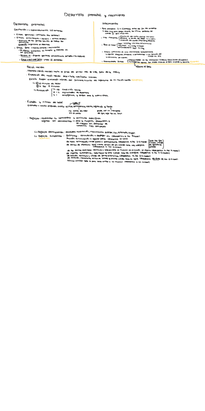 Miniatura del documento Bloque-II.-Tema-3-Desarrollo-prenatal-y-nacimiento.pdf