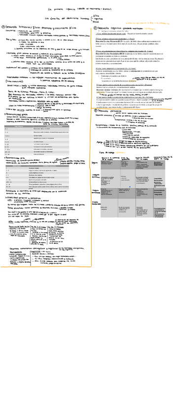 Miniatura del documento Bloque-II.-Tema-4-La-primera-infancia-desde-el-nacimiento-hasta-los-3-anos.pdf