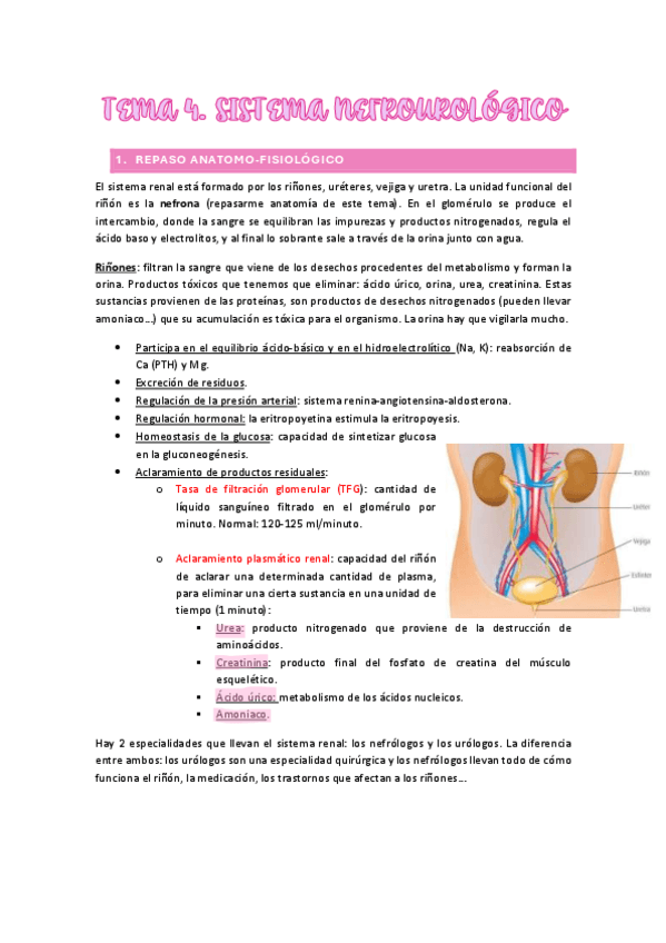 Miniatura del documento Tema-4.-Alteraciones-del-sistema-nefrourologicas.pdf
